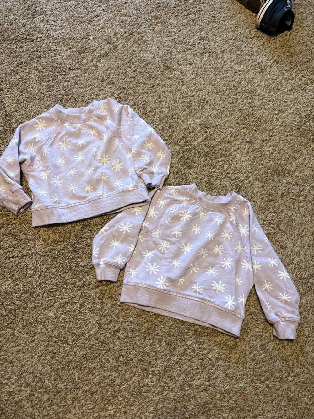 Hanna Andersson lavender patterned sweatshirts - Twin Set